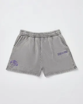 Insight Dive Fleece Short - Teens - Grey | SurfStitch