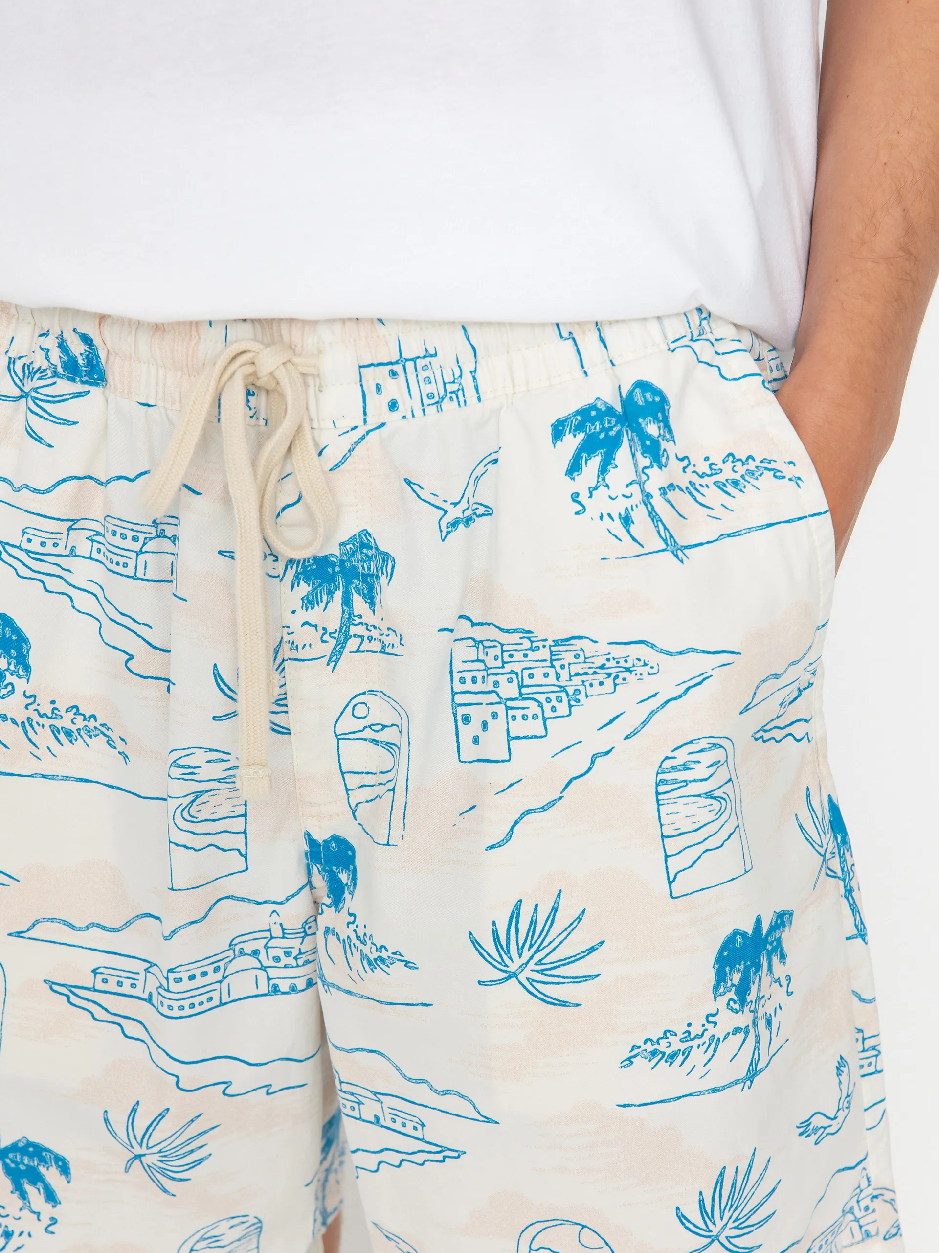 Vans Shorts Range Relaxed Elastic (marshmallow/malibu blue)